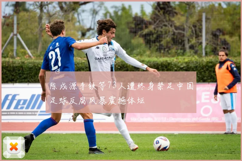 陈戌源李铁等73人遭终身禁足中国足球反腐风暴震撼体坛