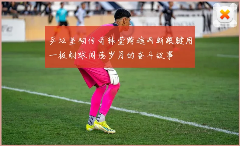 乒坛坚韧传奇韩莹跨越两断跟腱用一板削球闯荡岁月的奋斗故事